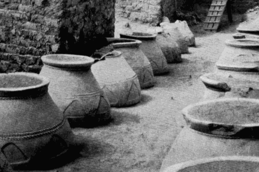 Picture with world’s first and oldest wine produced in Armenia over 6,000 years ago